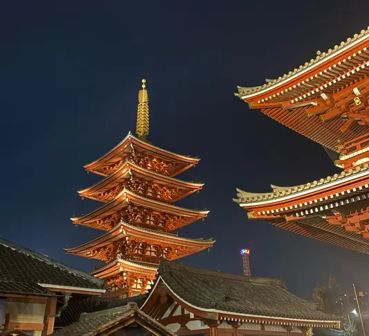 „Япония е синкретична държава между модерното и традиционното“