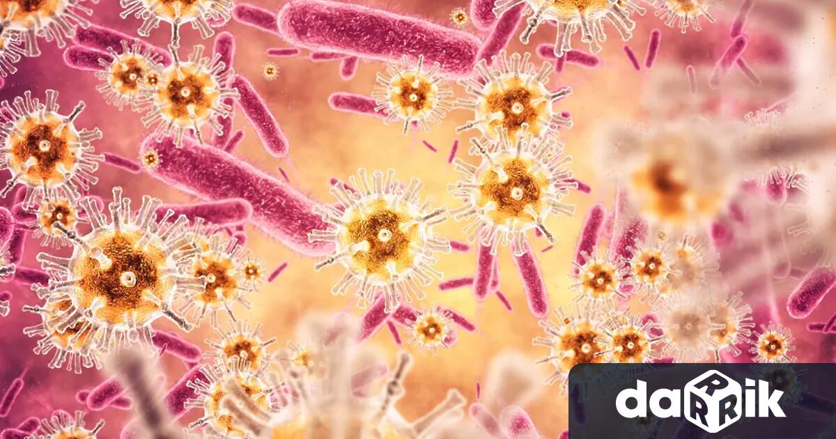 Обявиха грипна епидемия в Пловдив а учениците минават в онлайн