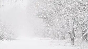 61 жертви на снежни бури и проливни дъждове в Афганистан