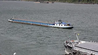 Мъртъв пеликан и мазни петна по Дунав, тече проверка 