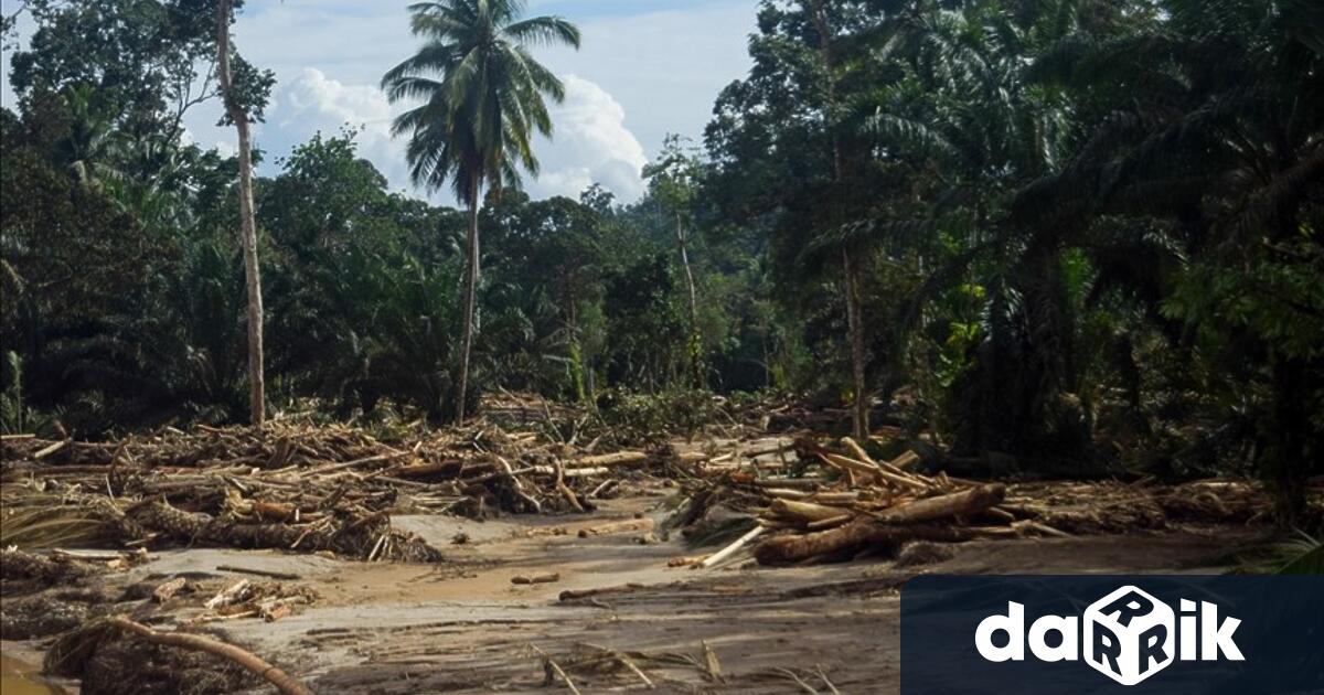 Властите в Нова Зеландия съобщиха че продължават работата по установяване