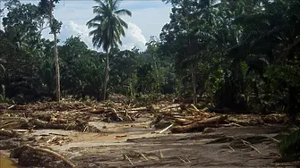 Свлачище помете къмпинг в Нова Зеландия, има загинали