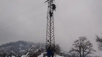 14 населени места или части от тях са без електрозахранване на територията на област Плевен