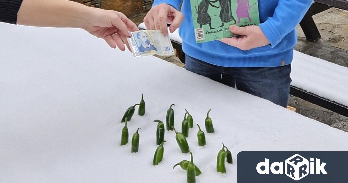 Гергана Паси съпругата Соломон Паси за който се заговори активно