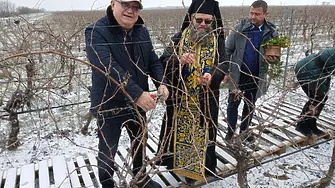 На Трифон Зарезан във видинско