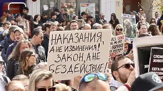 Съдът решава дали да остави в ареста мъчителите на животни в село Царевец.