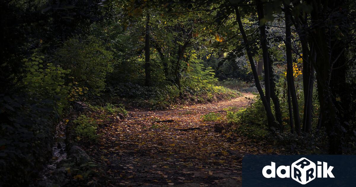 И през 2025 г служителите на Югоизточното държавно предприятие ДП