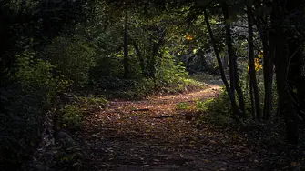 Над 65 000 проверки са извършени на територията на ЮИДП през изминалата година