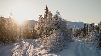 Жълт код за мразовито време в почти цялата страна, очакват се температури до -14 градуса
