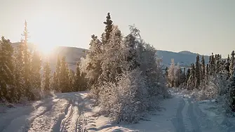 Жълт код за мразовито време в почти цялата страна, очакват се температури до -14 градуса