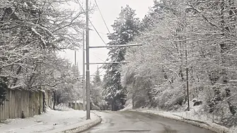 Община Плевен е в непрекъснат контакт с фирмите, ангажирани със зимното почистване 
