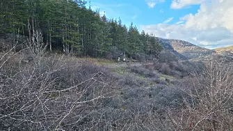 Калушев е намерен мъртъв под Околчица, а последният му пост е стихотворение на Христо Ботев