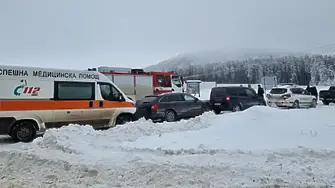 По досъдебното производство за случая Петрохан са налице свидетелски показания за сексуални контакти с малолетни и непълнолетни лица