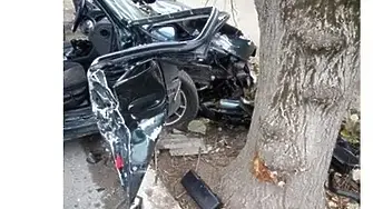 Мъж загина при катастрофа - ударил се в крайпътно дърво в монтанско