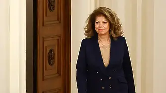 Българи зад граница призоваха президента да наложи вето на промените в Изборния кодекс