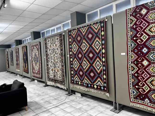 Петя Янева представя: „Художникът и килимът. Модели за котленската килимарска школа“