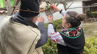 В Севлиево спазиха традициите на Трифон Зарезан 