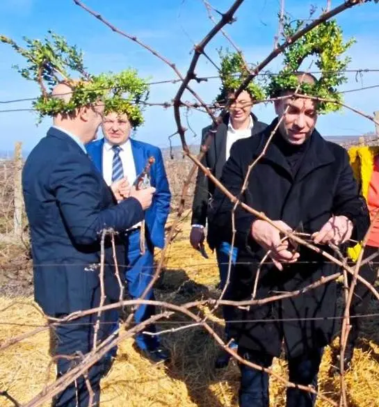 С тържествен ритуал по зарязване на лозята Институтът по лозарство и винарство – Плевен отбеляза празника на лозаря