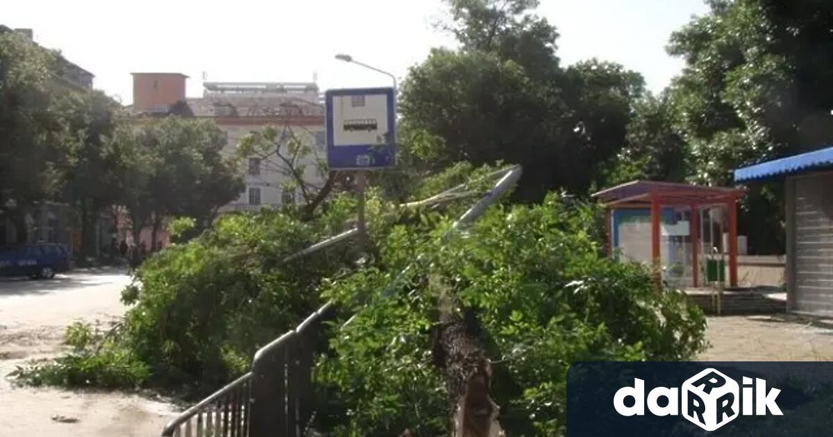 Силният вятър нанесе щети в Хасково и Кърджали Подадени са