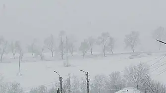  Видин вече е в плен на снега