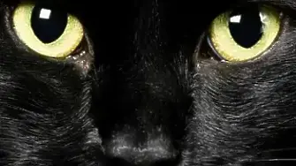 Злокобни събития, случили се точно на петък 13-ти - някои очакват и края на света