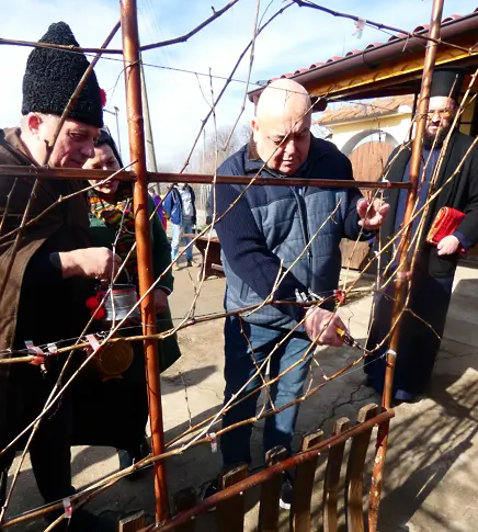 С конкурс за най-добро вино, фолклорна програма и народно веселие бе отбелязан Деня на лозаря в Лом