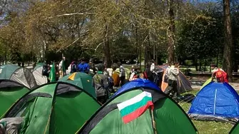 Днес е Международният ден на скаутите