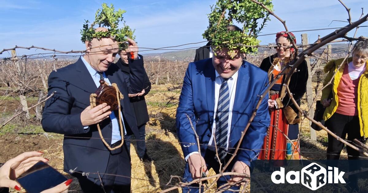 С ритуално зарязване на лозите и дегустация на вина Институтът