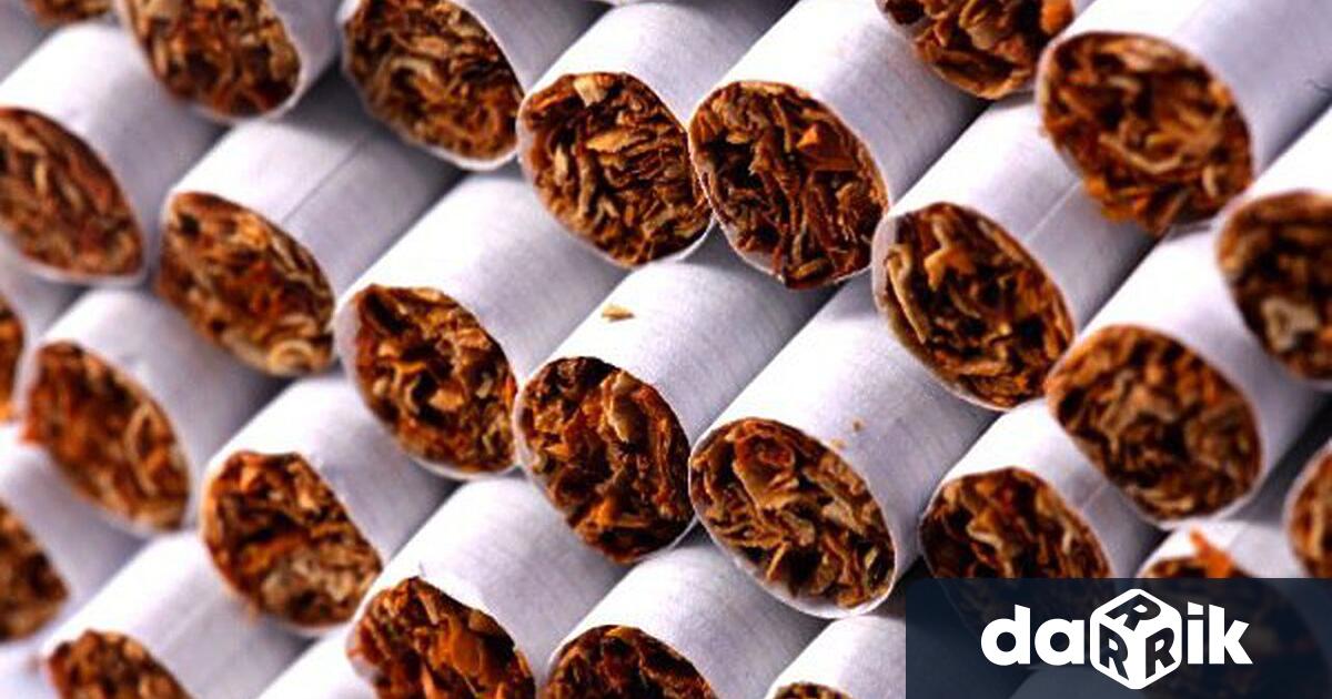 Служители на УчастъкВълчедръм при Районно управление – Лом иззеха цигари