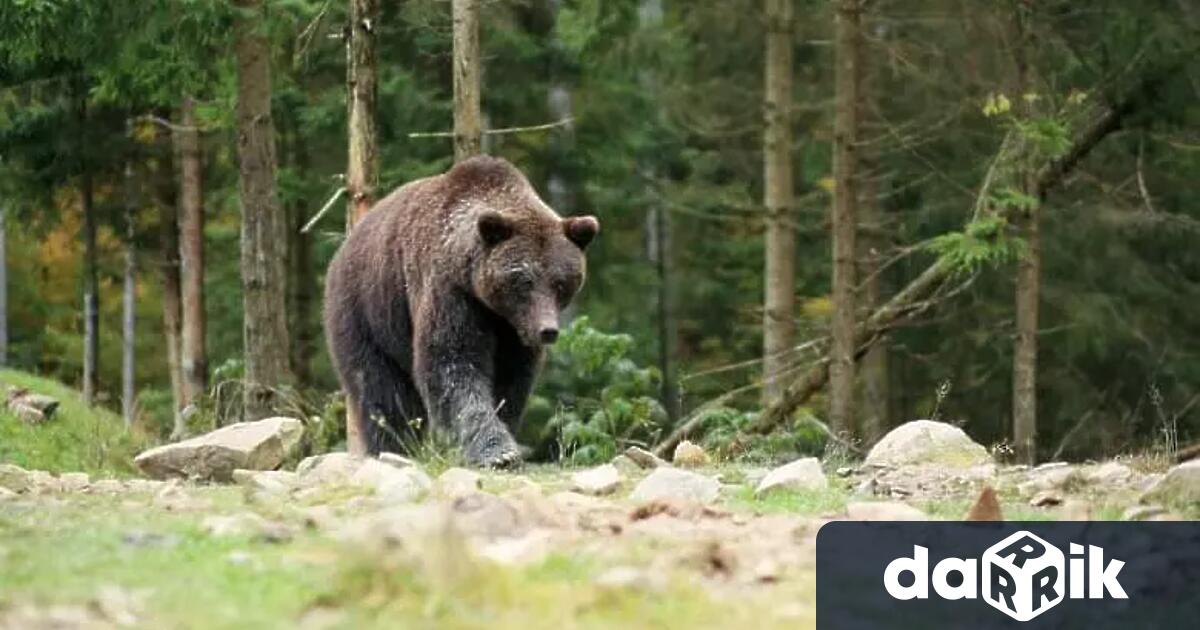 В Индия жена подплашимечка нападнала съпруга ѝ предаде Керала Каумуди