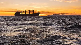 Зърнопроизводителите в България алармират за пристигащи кораби с евтин слънчоглед от Аржентина