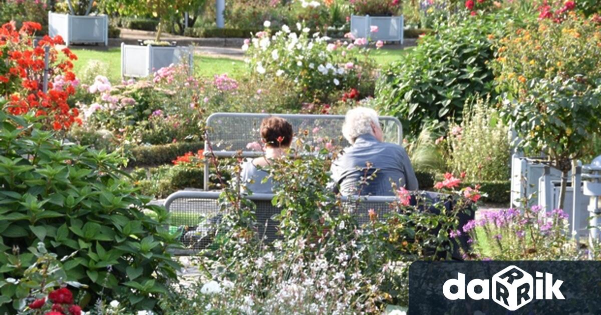 20 ти февруари еСветовен ден на социална справедливост обявен за