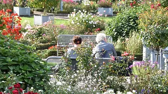 20 февруари - Световен ден на социална справедливост