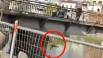 Мъж хвърли детето си през мост по време на спор със съпругата си