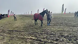 С конни надбягвания отбелязаха Тодоровден във Враца и населените места