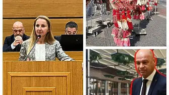 ПП–ДБ: Община Пловдив с фрапиращ двоен стандарт - сергиите с мартенички под лупа, а се нехае четири години за голям общински терен