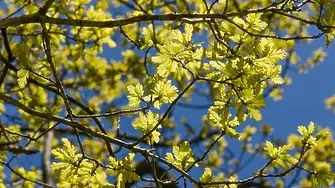 Температури от минус 7 до 26 градуса ни очакват през март