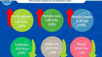 Мадлен Жекова: Първите два месеца от влизането на България в еврозоната не донесоха ценови шок при храните