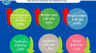 Мадлен Жекова: Първите два месеца от влизането на България в еврозоната не донесоха ценови шок при храните