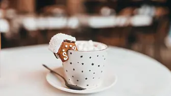 От зърното до чашата – Как да изберете най-подходящото кафе за вашето ежедневие