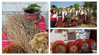 От старите тефтери до дигиталния свят: каква е тайната за  приготвянето на змейовския пелин?