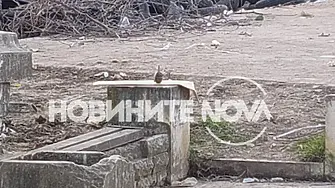 Бездомник откри граната в боклука до бензиностанция в Монтана