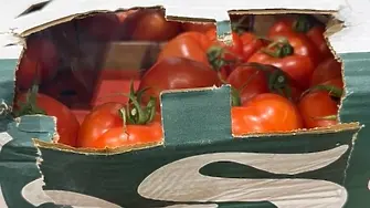 Митничари на пункт „Лесово” спряха недекларирани 16 тона зеленчуци