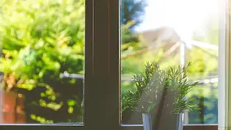 Слънчево време с до 15 градуса в Деня на жената