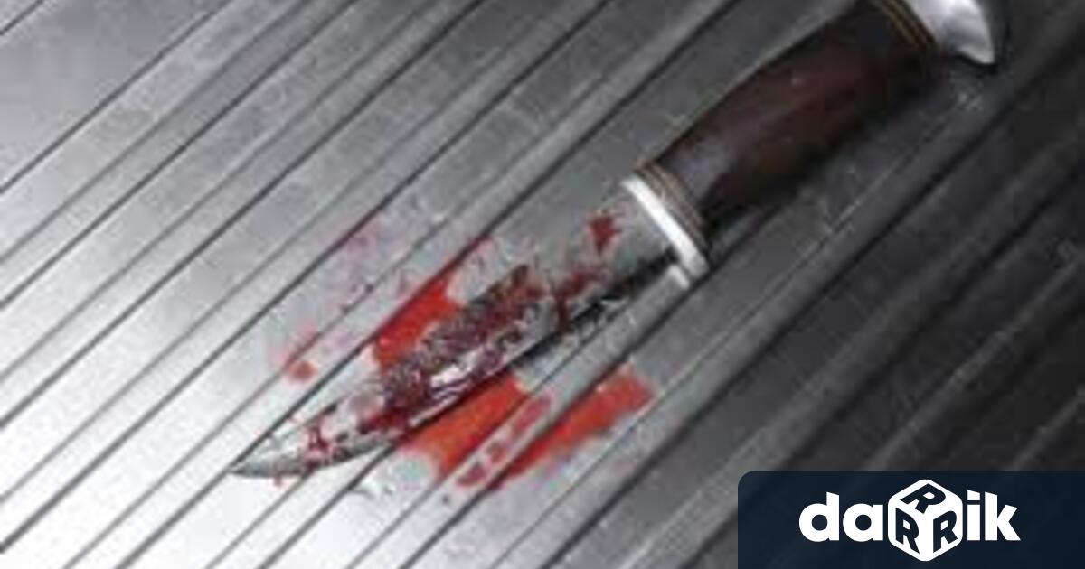 Служители на Районно управление – Берковица установиха 42 годишен берковчанин нанесъл