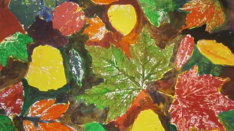 Престижни награди печелят деца от арт школа „Колорит“ от Международния конкурс „ARTE MICHI”  2026 в Румъния