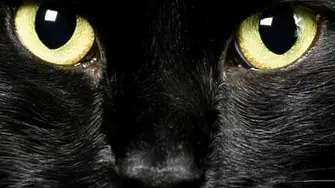 Злокобни събития, случили се точно на петък 13-ти - някои очакват и края на света