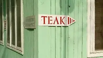 Разкриха измама с фалшиви ТЕЛК решения в Разградско