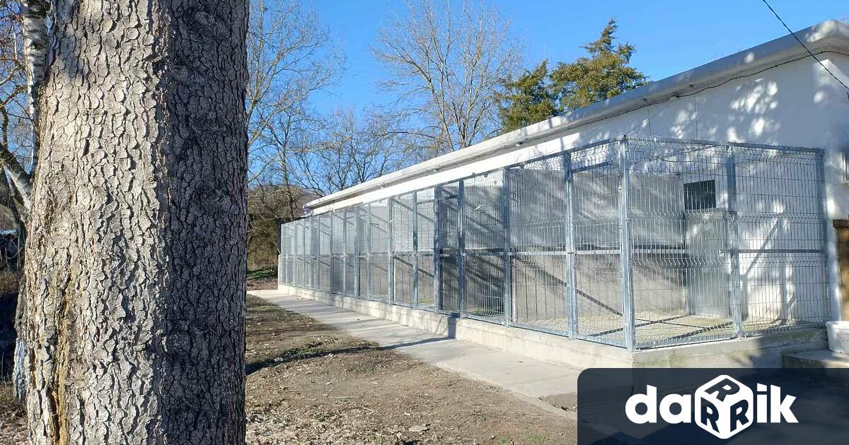 Отговорен и отдаден колега професионалист който иска да бъде