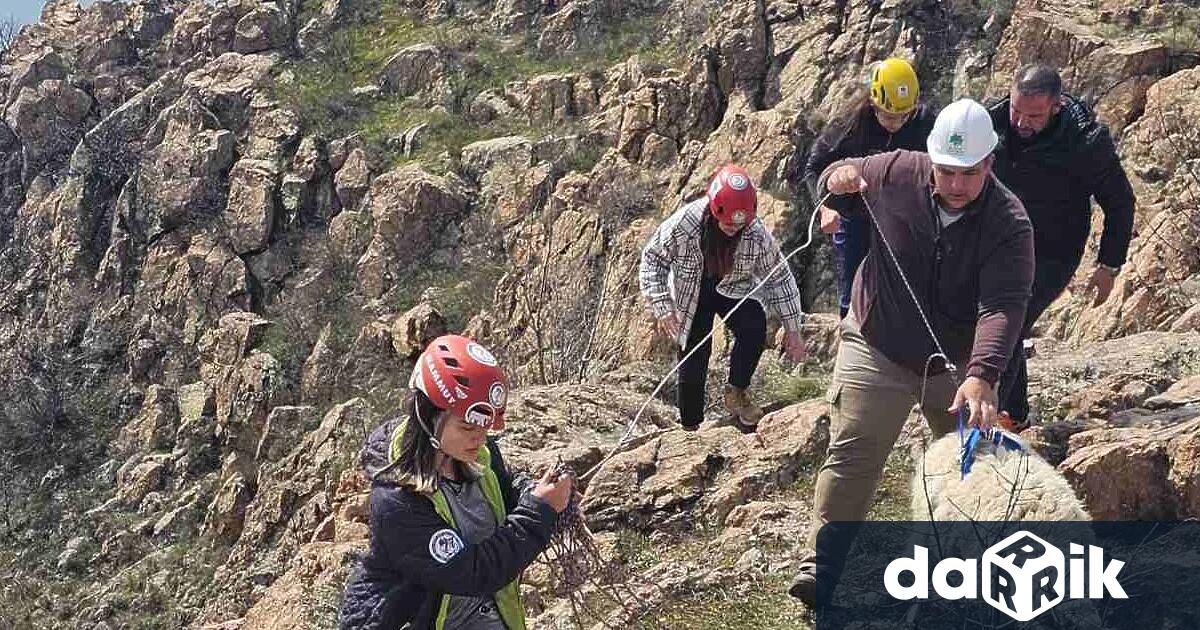 Мащабна и изключително трудна спасителна операция се проведе в района
